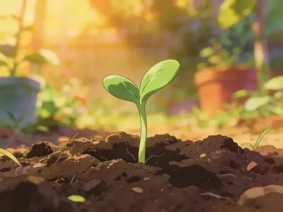 A Tiny Seed Wakes Up