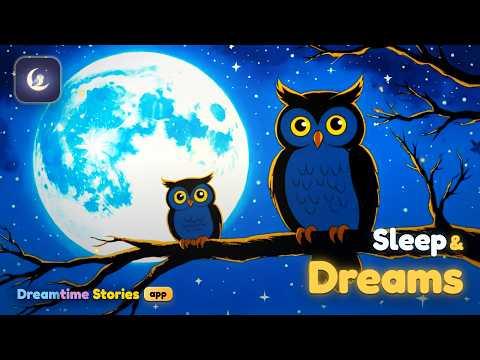 Sleep & Dreams